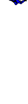Gif 05