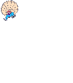 Gif 09