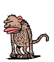 Gif 156