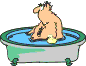 Gif 40