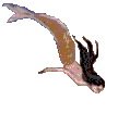Gif 04