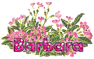 Gif 03