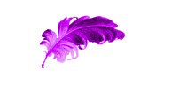Gif 66