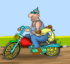 Gif 08