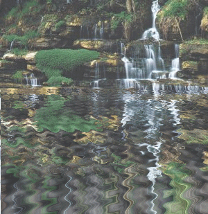 Gif 07