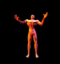 Gif 146