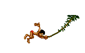 Gif 41