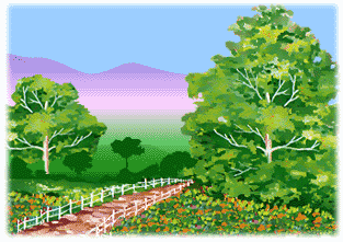Gif 02
