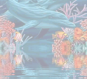 Gif 122