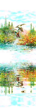 Gif 129