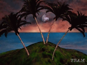 Gif 21