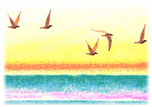 Gif 32
