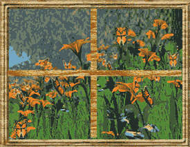 Gif 42