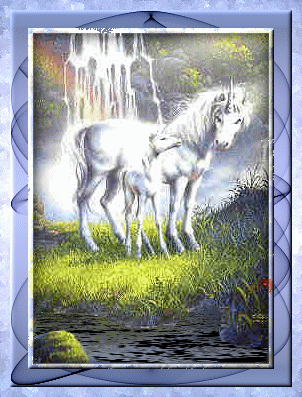 Gif 44