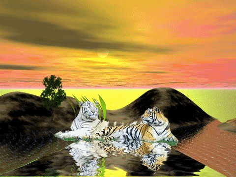 Gif 78