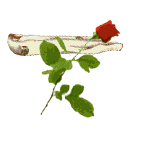 Gif 05