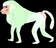 Gif 156