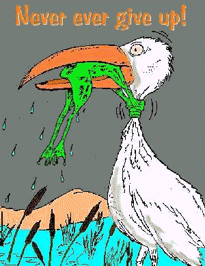 Gif 196