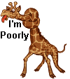 Gif 206