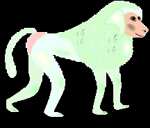 Gif 23
