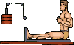 Gif 20