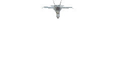 Gif 17