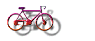 Immagine 10 Biciclette