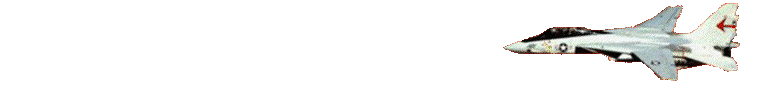 Gif 08