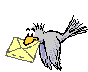 Gif 11