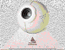 Gif 05