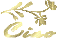 Gif 50
