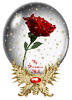 Globo numero 434