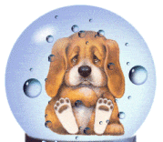 Globo numero 97
