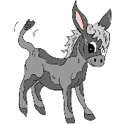 Gif 03