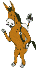 Gif 05