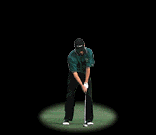 Gif 30